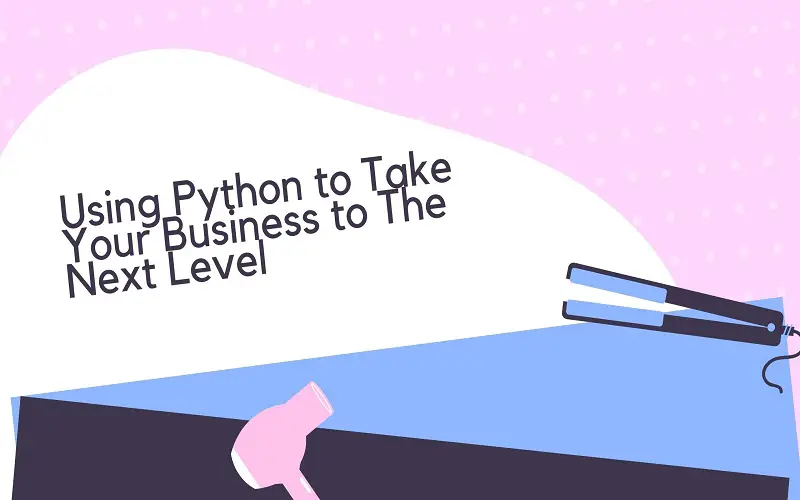 Using Python to Take Your Business to The Next Level