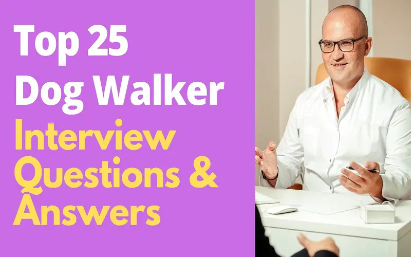 Dog Walker Interview Questions and Answers