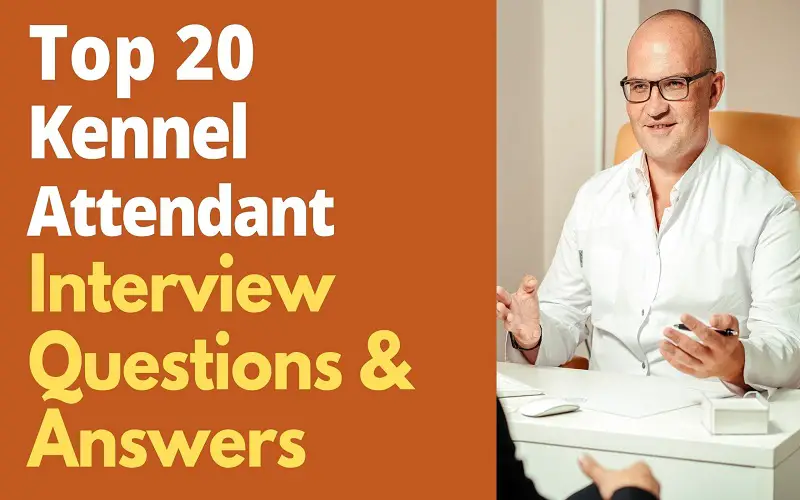 Kennel Attendant Interview Questions and Answers