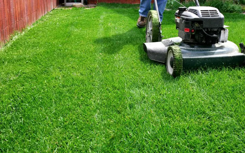 Strategies For Starting A Lawn Care Business