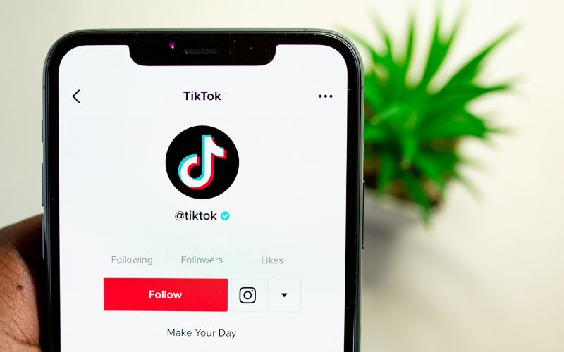 TikTok Business Model Analyzed and Explained