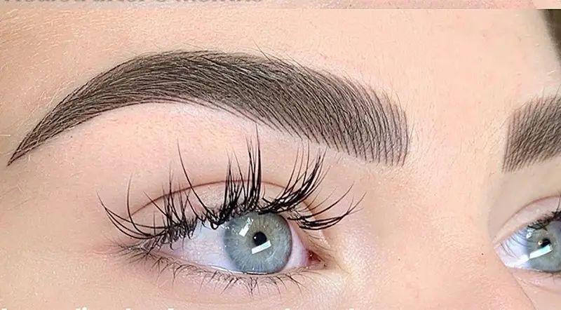 Microblading vs. Nano Machine Hair Strokes